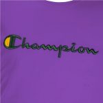 تی شرت آستین کوتاه پسرانه مدل MMDS-CE7932