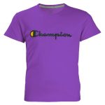 تی شرت آستین کوتاه پسرانه مدل MMDS-CE7932