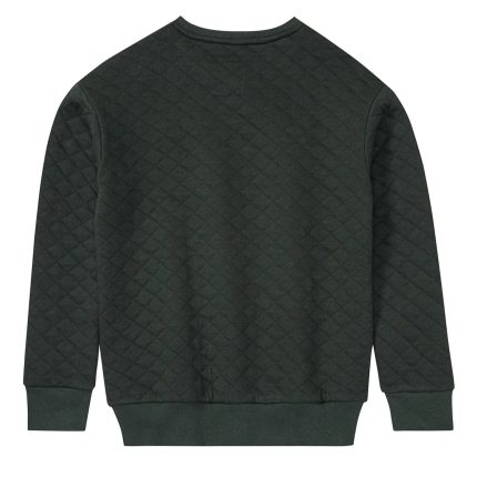 سویشرت پسرانه پیپرتس مدل دورس کد 18125781