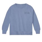 سویشرت پسرانه پیپرتس مدل دورس کد 17920774