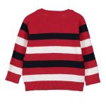 پلیور نوزادی ال سی وایکیکی مدل PLLC-1234